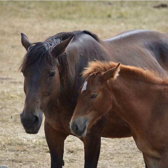 Meet your Posher, Patty - Picture 5 of 7